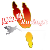 horsebird racing