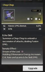 echo