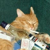 rartcattos-20210207-0004