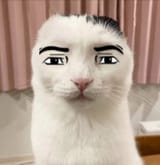 1753727904932186