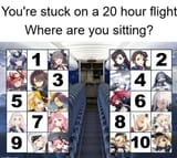 EU Flight Passanger