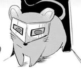 ratkoto