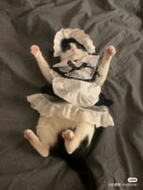 catmaid
