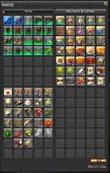 inv