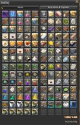 inv