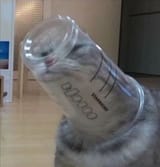 heard you talkin shit like i wouldnt find out