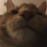 152086352_176023434049082_3481142221909361430_n