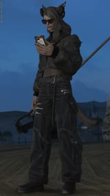 ffxiv_08052025_234827_100