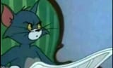 angry cat