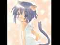 lolicatgirls [sound=https%3A%2F%2Ffiles.catbox.moe%2F9zxoim.mp3]_thumb.jpg