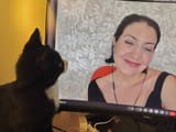pablo&#039;s cat