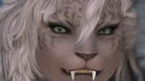 Clean Teeth