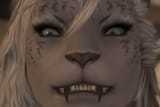 teeth