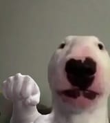 1750922130941457