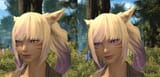 ffxiv_08082025_004130_672
