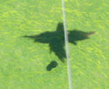 Screenshot 2025-08-08 142258