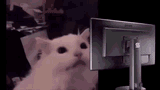blinding pussy