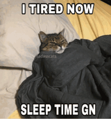 gn