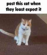 1656177785873