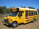 bus