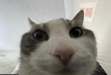 1754295969826943