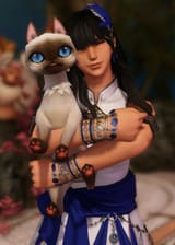gato