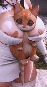 gato