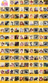 1524223956253