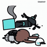 bnuy crash