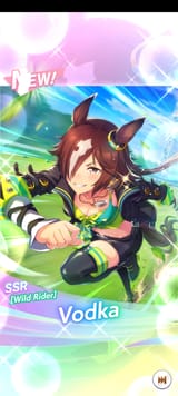 Screenshot_20250808_231327_Umamusume
