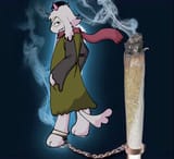 123