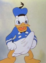 135240371030