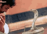 snake summoning ritual