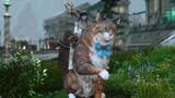 meow 2025-08-08 10-16-09 meow ffxiv_dx11