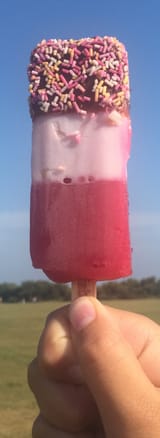 FAB_frozen_dessert
