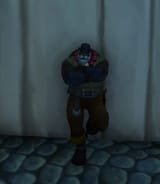 CoolTiran