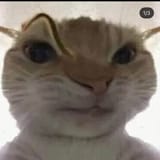 1656675517593