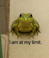 1723224940213460