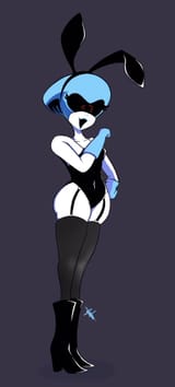 Bunny outfit