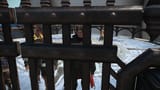IMG_7132