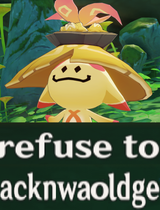 acknwaoldge