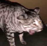1723451959022936
