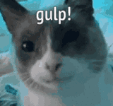 gulp-gulper