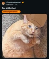 1729548271309335