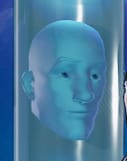 bald