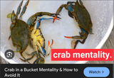 crabbabucket