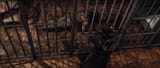 SkyrimSE 2025-08-08 20-28-33
