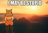 stupid