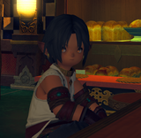 ffxiv_dx11_u9c3hXJ8TS