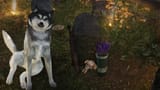 enb2025_8_8_22_57_16